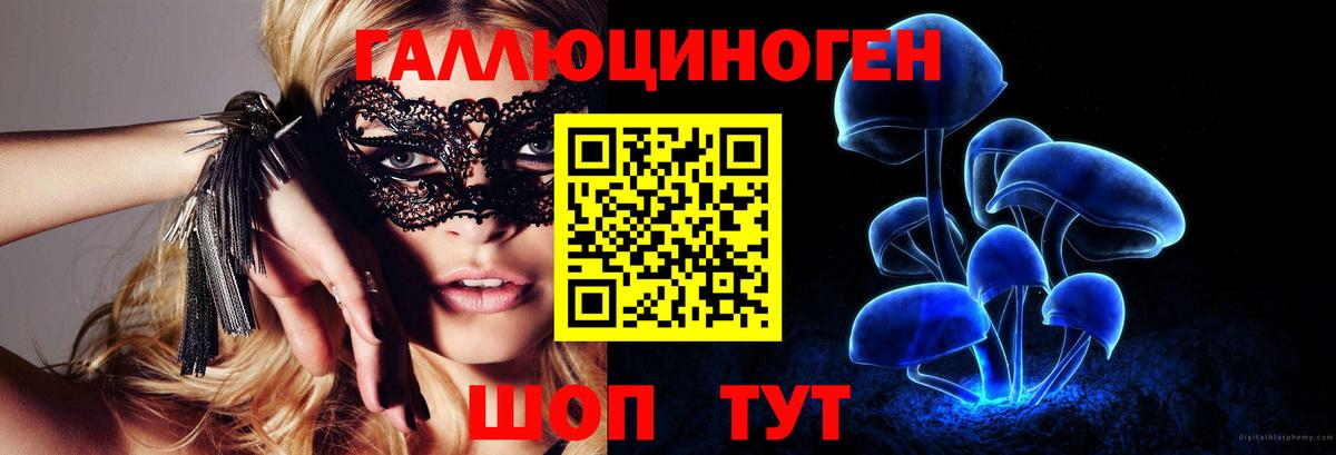 купить наркотик  Вход с VPN  Менделеевск  Галлюциногенные грибы Psilocybe 